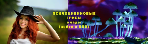 шишки Аркадак