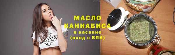 spice Богородицк
