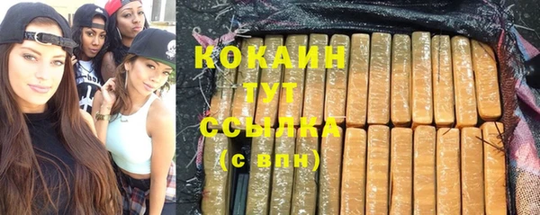 шишки Аркадак