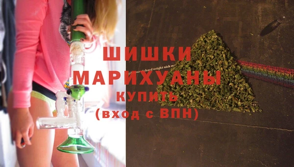 шишки Аркадак