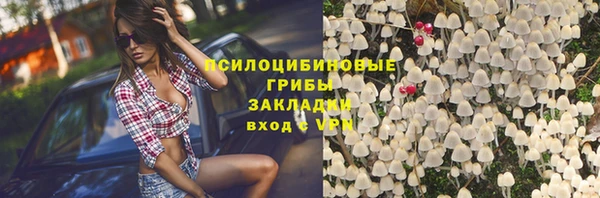 винт Армянск