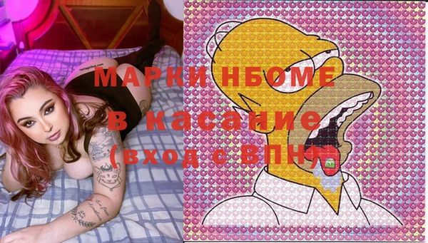 шишки Аркадак