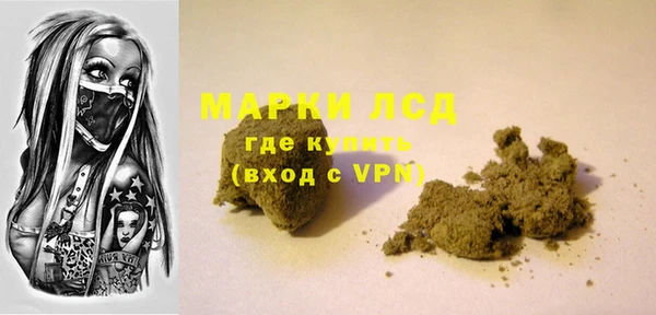 шишки Аркадак