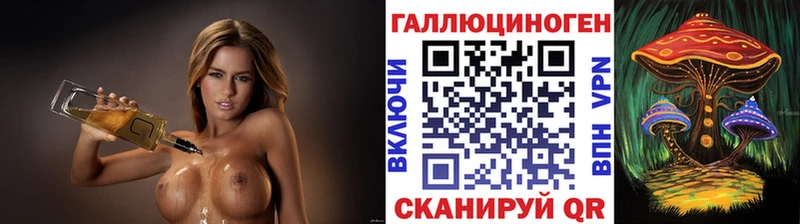 даркнет сайт  Кувшиново  mega   Галлюциногенные грибы мицелий 